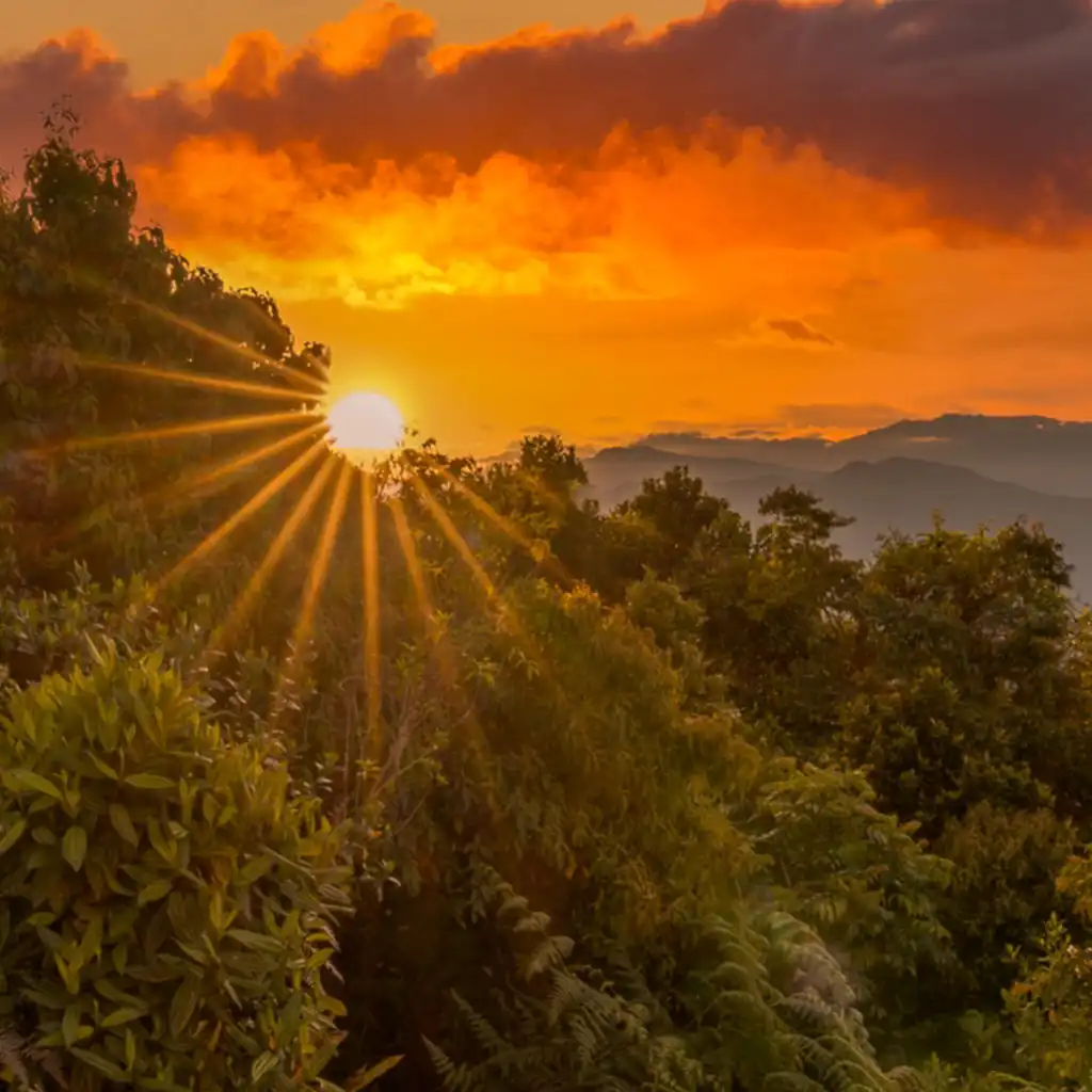 Ciudad Perdida Colombia