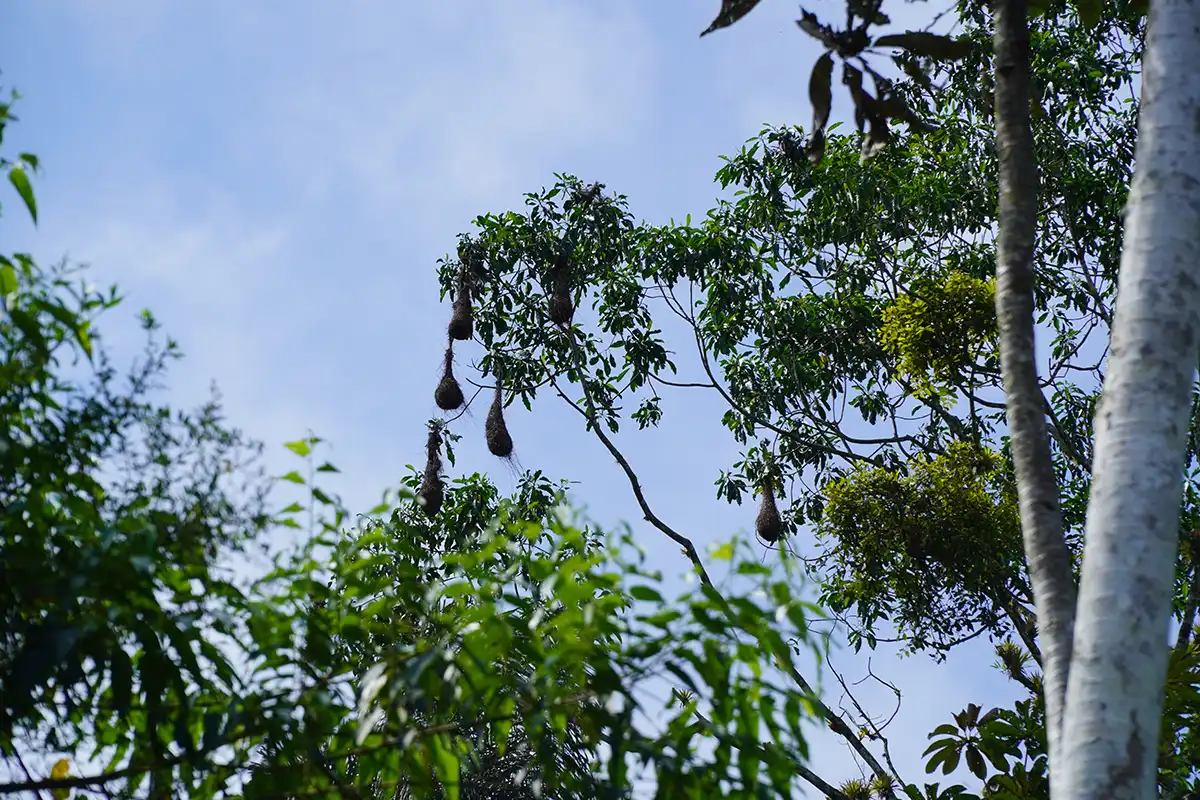 ciudad perdida trek 1